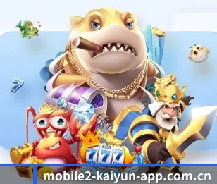 开云官网APP入口的故事